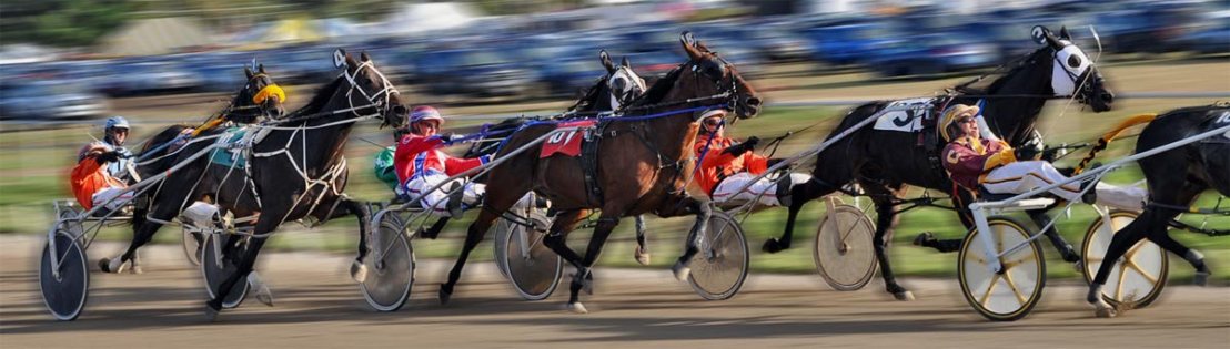 Harness Racing