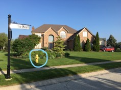 Fire hydrant circled